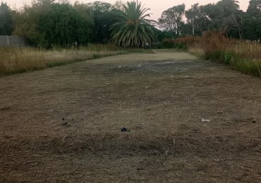 SE VENDE LOTE / A METROS DE RUTA 2 / FRENTE A CANCHA DE ALEM